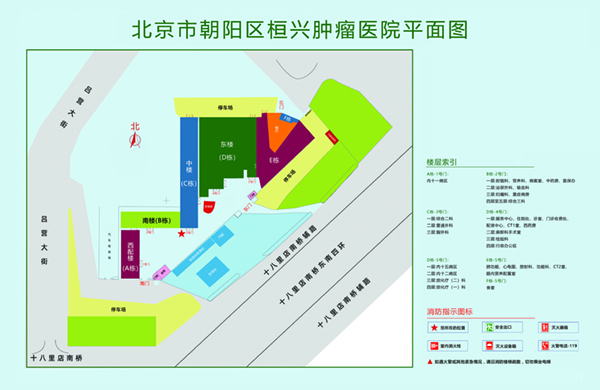 操逼片网址北京市朝阳区桓兴肿瘤医院平面图